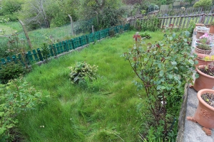 Back Garden Harrogate Yorkshire before Artificial Grass