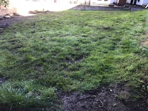 Back Garden - Wakefield - before artificial grass - Polished Artificial Grass